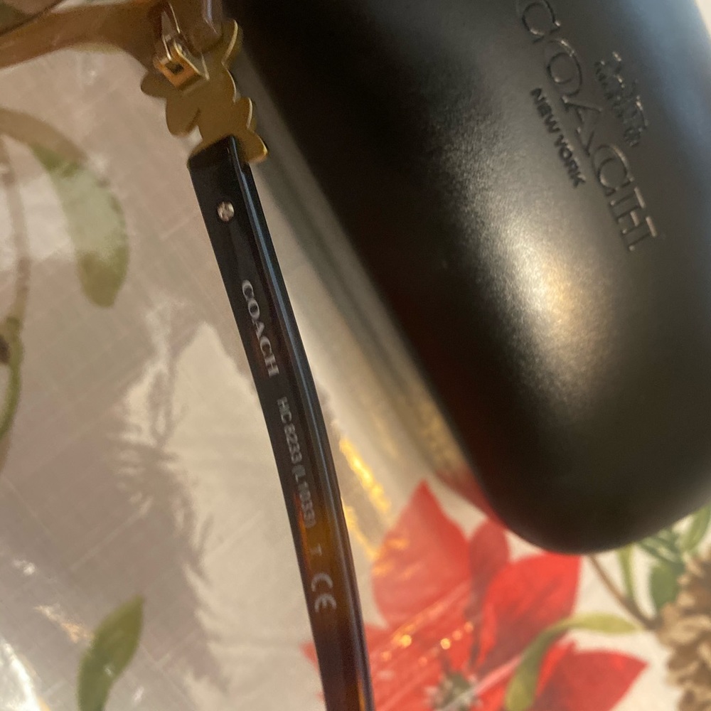 Coach - Picture 4 of 7